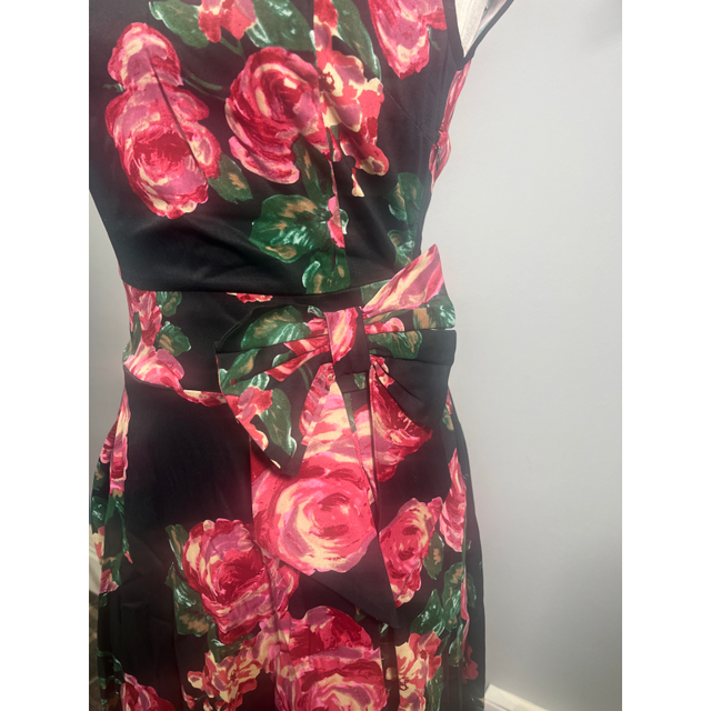 Lady V Dress - Rose Painting (10), Lady V London