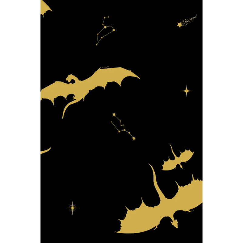 Zelda Dress - Dragon Rider